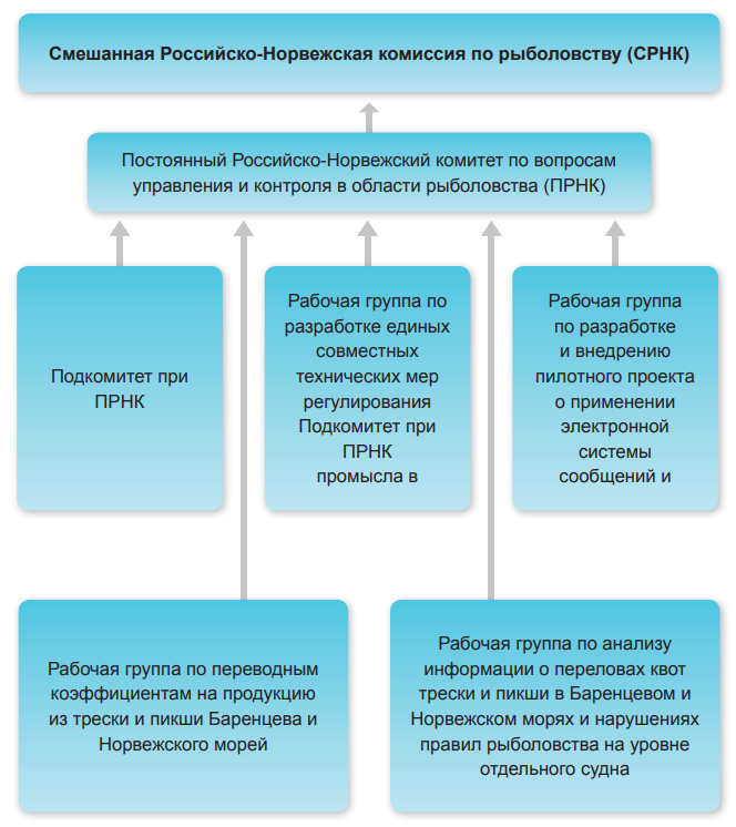 Структура СРНК